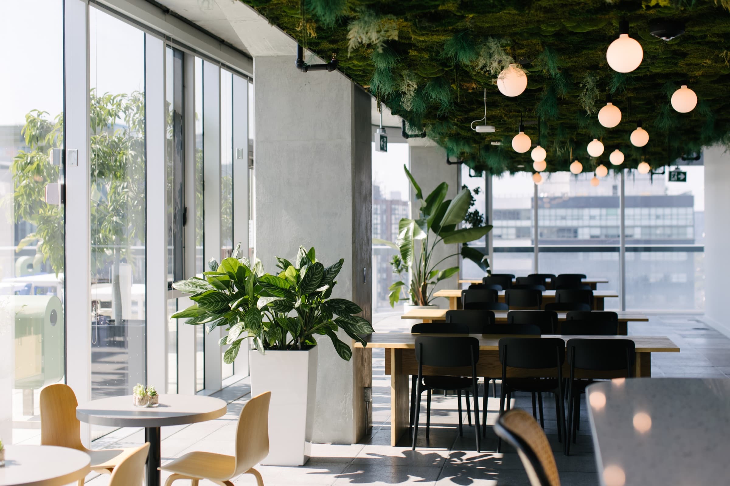 Office lounge with tropical plant arrangement by Benji's