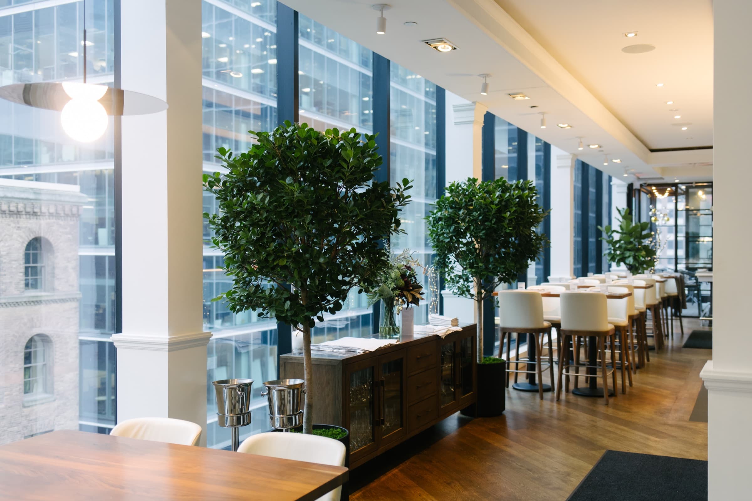 Premium office plants — designed and maintained by Benji's