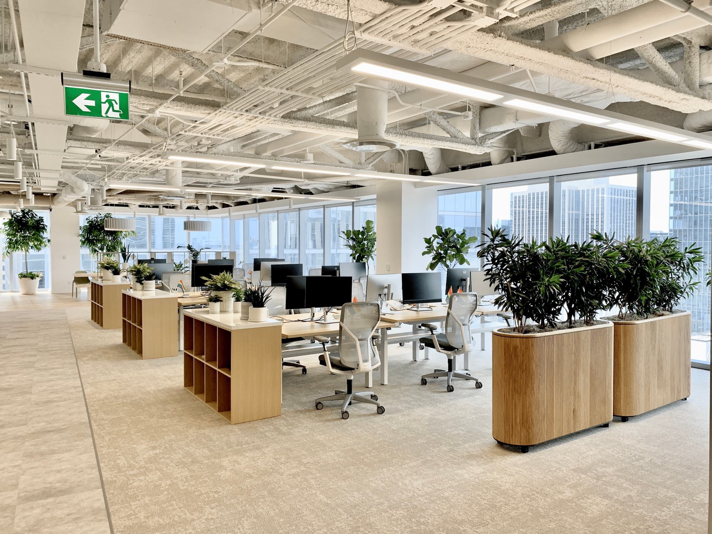 Benji's signature plant installation — lush greenery in a modern Toronto office