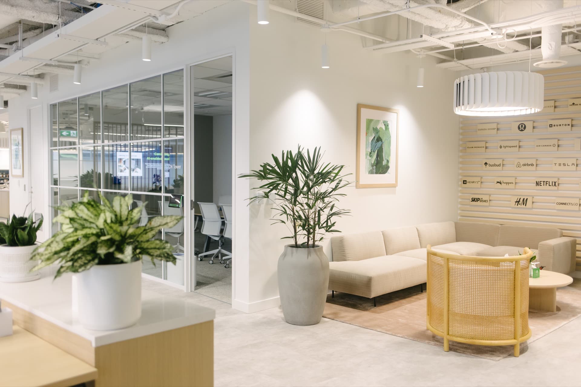 Bright office lounge with plants in white ceramic pots and curved rattan furniture